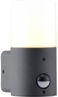 Уличный настенный светильник Escada 581/1A