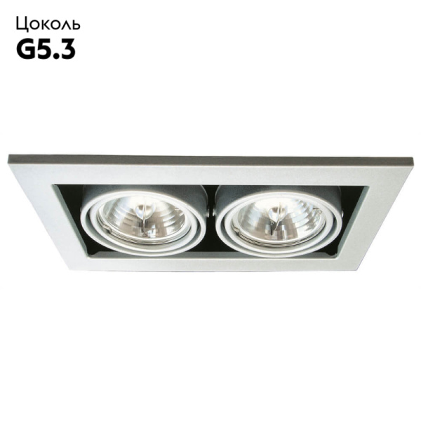 Встраиваемый светильник Arte Lamp Technika A5930PL-2SI