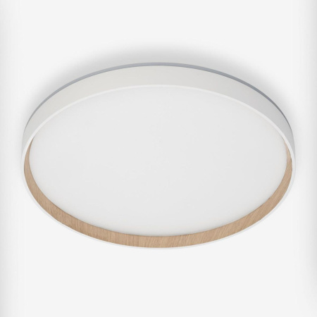 Потолочный светильник Citilux Etalon CL750400R