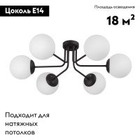 Потолочная люстра Vitaluce V4995-1/6PL