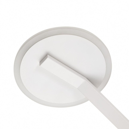 Потолочная люстра Citilux Дуэт CL719750