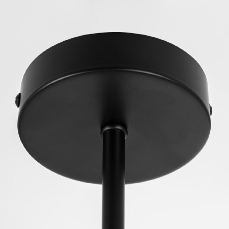 Люстра на штанге Citilux Fisher CL218163