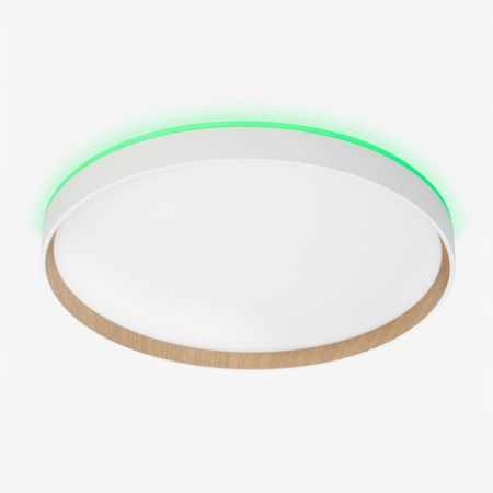 Потолочный светильник Citilux Etalon CL750400R