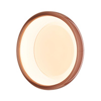 Настенно-потолочный светильник Sonex Color Portman 7778/ELN