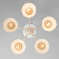 Потолочная люстра Eurosvet Campina 60107/5 белый с золотом