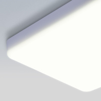 Накладной потолочный светодиодный светильник DLS043 Elektrostandard