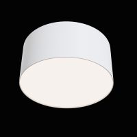 Потолочный светильник Maytoni Zon C032CL-L12W4K