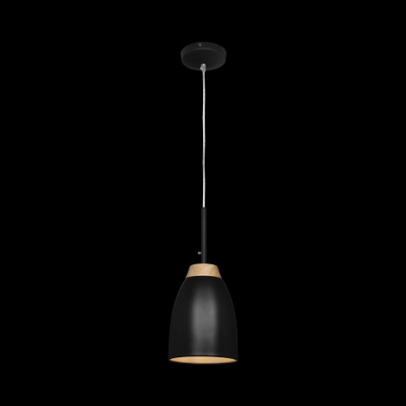 Подвесной светильник Loft IT Restor Loft4402A-Bl