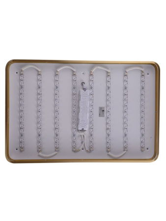 Потолочный светильник Zortes Monna ZRS.1209.09