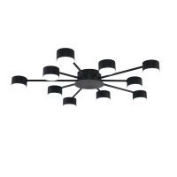 Потолочная люстра Lumion Comfi Torina 8344/10C