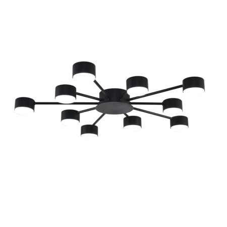 Потолочная люстра Lumion Comfi Torina 8344/10C