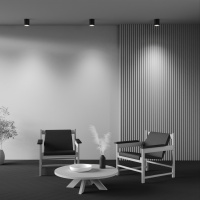 Накладной светильник Maytoni Spark C094-GU10-B