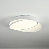 Потолочный светильник ImperiumLoft Shell 102036-26