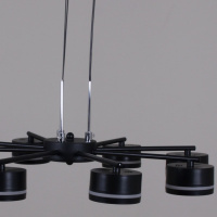 Потолочная люстра Reluce 19490-0.4-08 Black