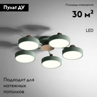 Потолочная люстра ImperiumLoft Move 178250-26