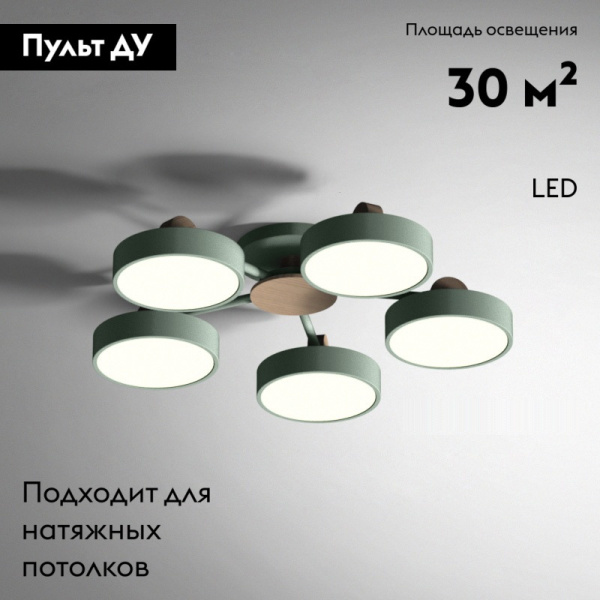 Потолочная люстра ImperiumLoft Move 178250-26