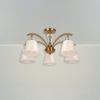 Потолочная люстра Freya Zingy FR5267PL-05BS