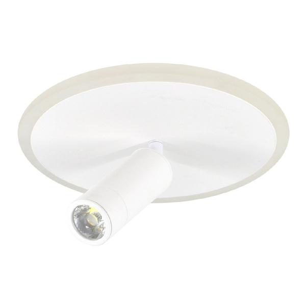 Настенно-потолочный светильник Escada 20046SMA/01LED WH