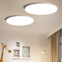 Потолочный светильник ImperiumLoft Slim 178457-26