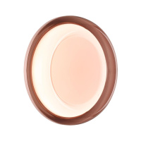 Настенно-потолочный светильник Sonex Color Portman 7778/DLN