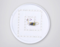 Потолочный светодиодный светильник Ambrella light черный/светлое дерево FZ1326