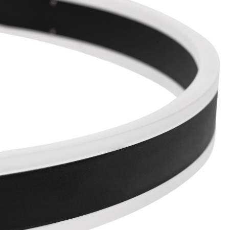 Потолочная люстра Citilux Дуэт CL719751