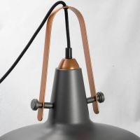 Светильник Lussole Loft LSP-9814 серый
