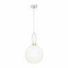 Подвесной светильник Loft IT Parachilna 9975-C