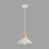 Подвесной светильник Lumion Suspentioni Eoliana 8352/1A