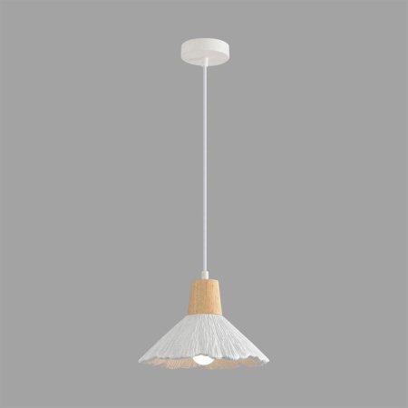 Подвесной светильник Lumion Suspentioni Eoliana 8352/1A