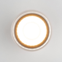 Уличный светодиодный светильник Elektrostandard Light Led 35140/H черный