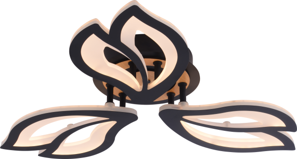 Потолочный светильник Rivoli Lana 6195-703 Б0070142