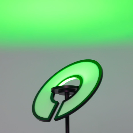 Торшер Citilux Loong CL810031