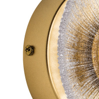 Настенный светильник Lightstar Erica 609602