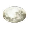 Настенно-потолочный светильник Sonex Moon 3084/EL