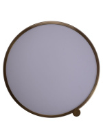 Потолочный светильник Zortes Gimpel ZRS.1209.17