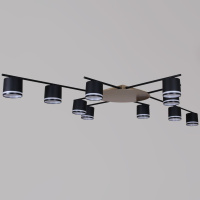 Потолочная люстра Reluce 22008-0.3-10 GX53