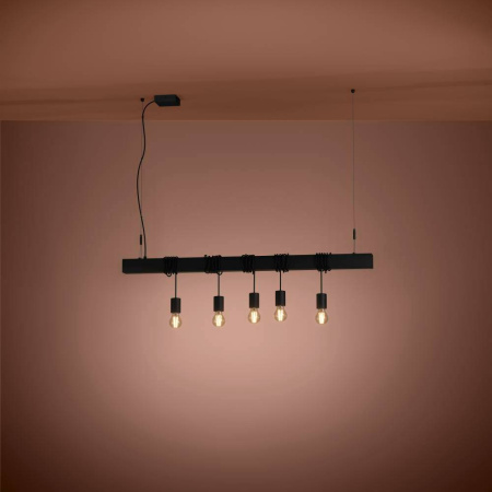 Подвесная люстра Eglo Townshend-B 39937