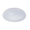 Потолочный светильник Escada 10213/SG LED