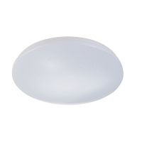 Потолочный светильник Escada 10213/SG LED
