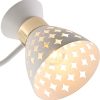 Потолочная люстра Reluce 01579-3.3-05 WH+FGD