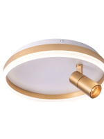 Потолочный светильник Zortes Raizy ZRS.1888.04