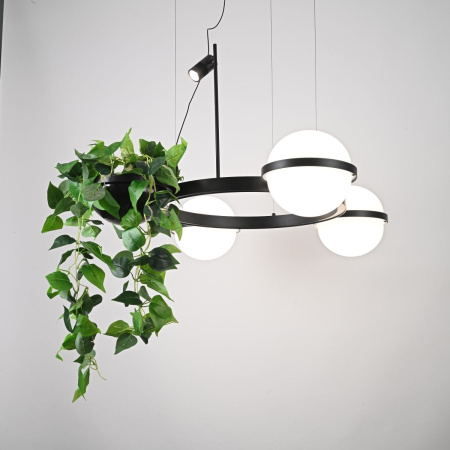 Подвесная люстра ImperiumLoft Palma 248666-01