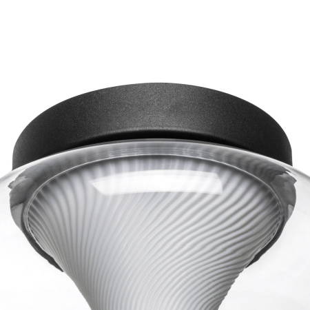 Настенно-потолочный светильник Lightstar Palermo 612017