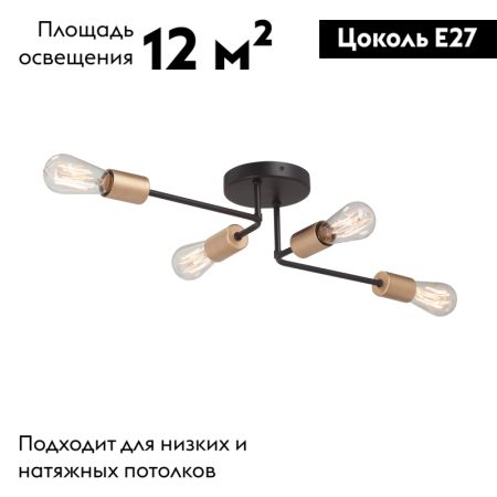Потолочная люстра Vitaluce V3005-1/4PL