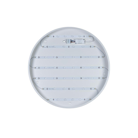 Потолочный светодиодный светильник Loft IT Axel 10002/48 white