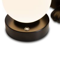 Настольная лампа с аккумулятором Freya Whisker FR5607TL-01B