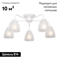 Потолочная люстра Vitaluce V3946-0/5PL