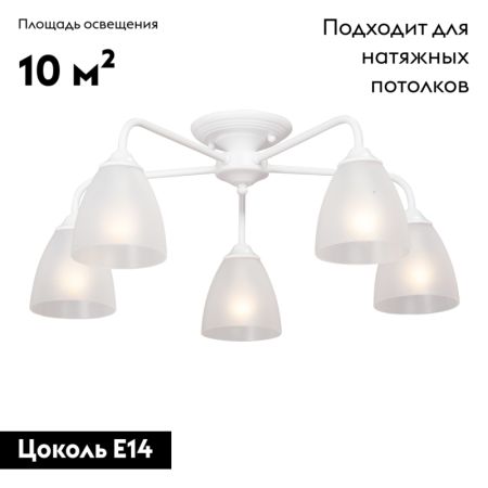 Потолочная люстра Vitaluce V3946-0/5PL
