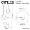 Подвесной светильник Citilux Rocka CL247083